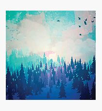 Forest Photographic Print