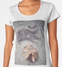 Cute kittens Women's Premium T-Shirt