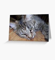 pouting Greeting Card