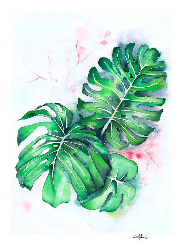 Monstera lieves' by IsabelSalvador.