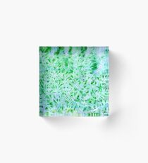 Bamboo Forest Acrylic Block