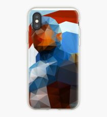 Vinilo o funda para iPhone All American