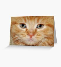 Tommy Greeting Card