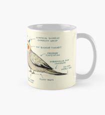 Anatomy of a Cockatiel Mug
