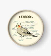 Reloj Anatomía de un Cockatiel