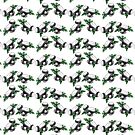 Mushrooms by Jorge Antunes