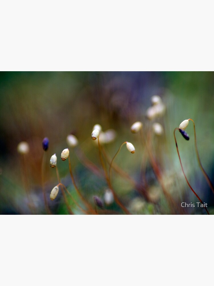 Aliens of Nature by christait