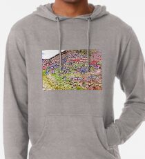 Artistic Jerome Lightweight Hoodie
