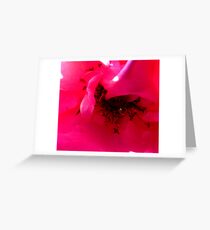 BLUSHING Greeting Card