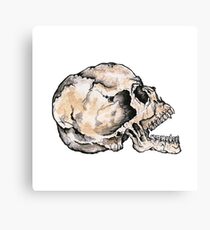 Scream! Canvas Print