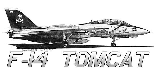 When the jolly rogers were still equipped with the f 14 tomcat they now fly...