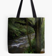 Triplet Falls River Tote Bag