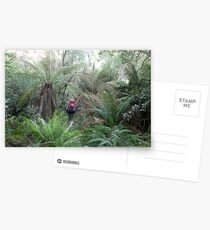 Moist Trail Postcards