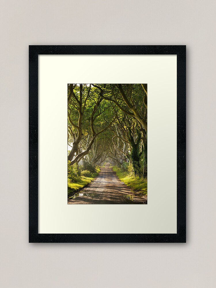 Alternate view of The Dark Hedges Framed Art Print