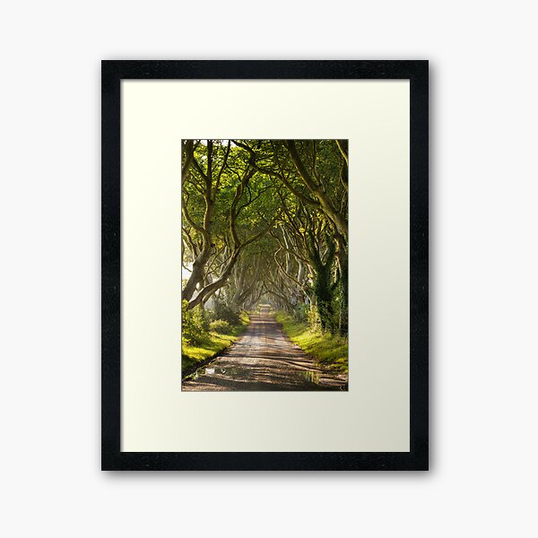 The Dark Hedges Framed Art Print