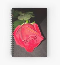 Tiefrote Rose Schönheit Spiralblock