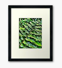 colours Framed Print