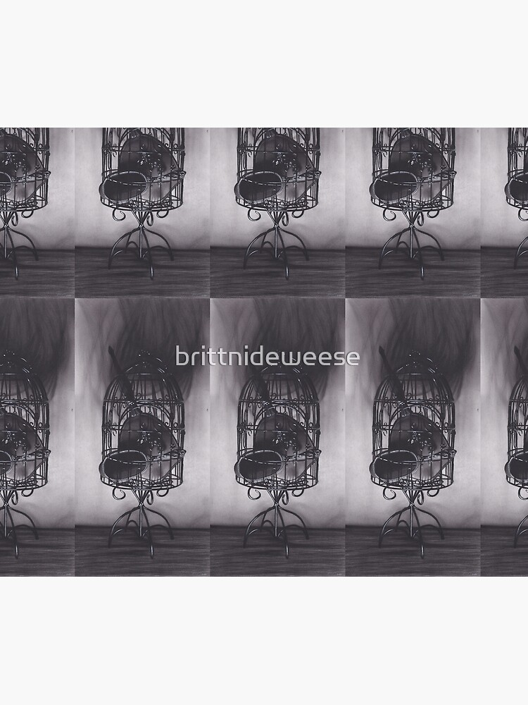 Realism Charcoal Drawing Of Mirrors In Birdcage Duvet Cover By