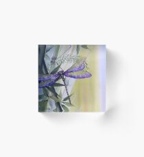 The dragonfly Acrylic Block