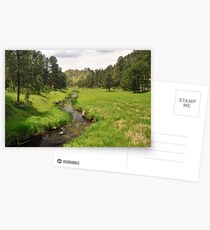French Creek - Custer State Park Postcards