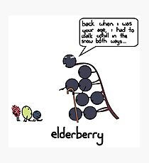 elderberry Photographic Print