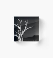 night in the desert Acrylic Block
