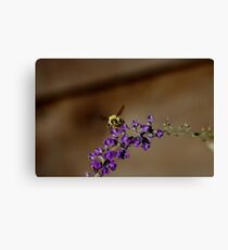 Bumble Canvas Print