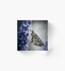 Bloque acrílico Mariposa en lavanda