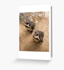 Penguin Couple Greeting Card