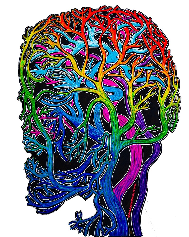 Brainbow Connection - Anatomy - Blood Supply to the Head by Hanson's  Anatomy