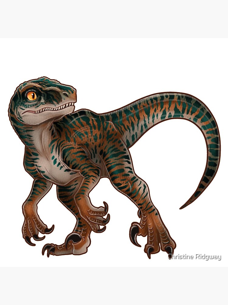 echo the raptor