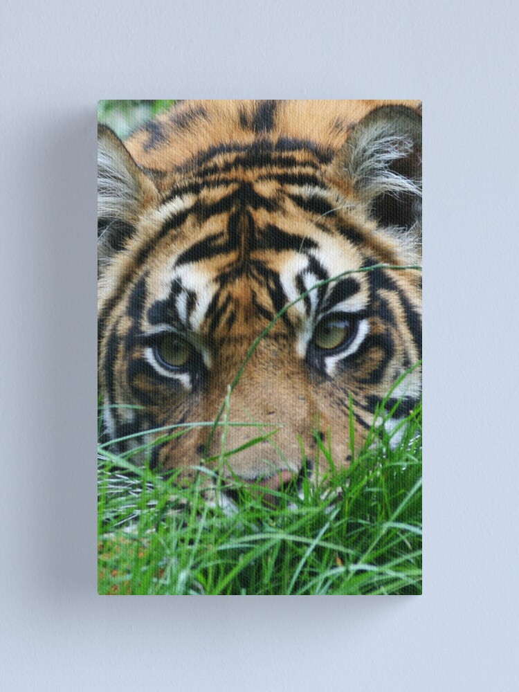 Alternate view of Stalker Canvas Print