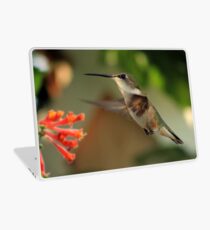 Hummingbirds and Honeysuckles Laptop Skin