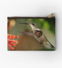Hummingbirds and Honeysuckles Studio Pouch