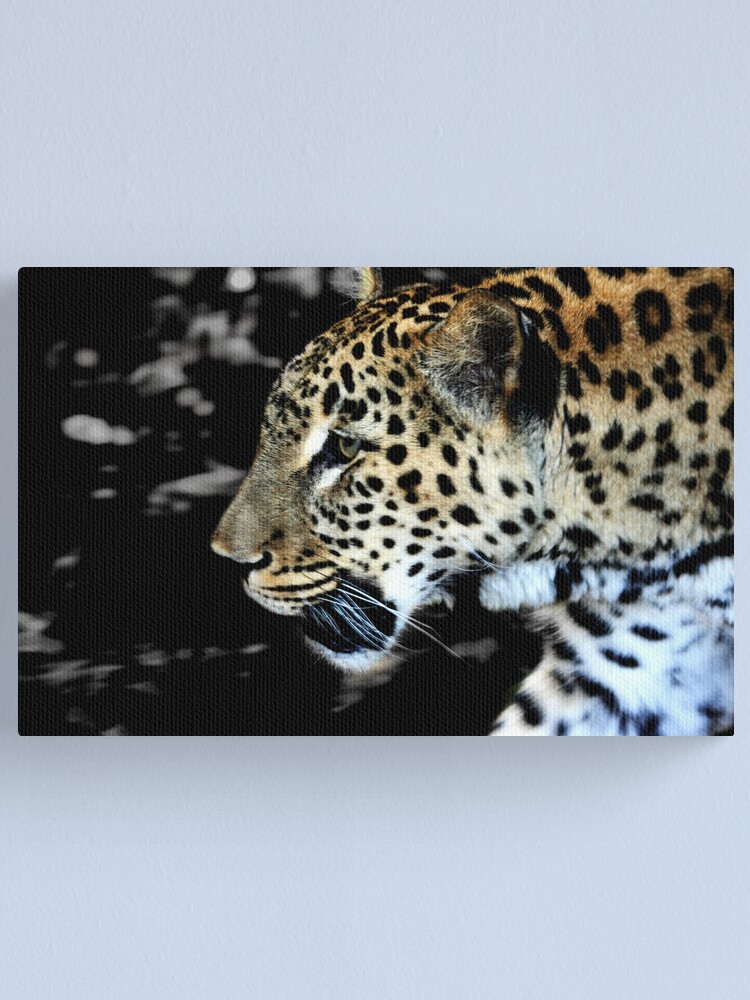 Alternate view of Persian Leopard Canvas Print