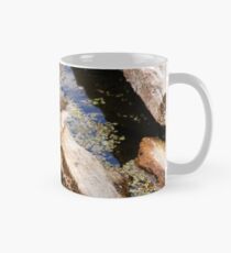 Beschmutztes Sandpiper-Küken Tasse (Standard)