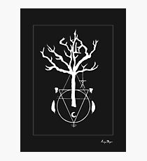 A Witch Tree Photographic Print