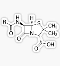 chemical structure of the Penicillin core Sticker