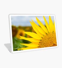 Sunflower Petals - Nobby, Australia Laptop Skin