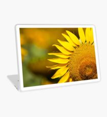 Sunflower - Nobby, Australia Laptop Skin
