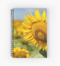 Sunflower Fields - Nobby, Australia Spiral Notebook