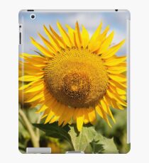 Sunflower - Nobby, Australia iPad Case/Skin