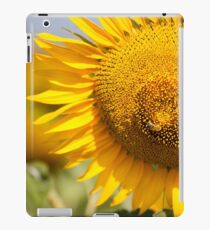 Busy Bee on Sunflower - Nobby, Australia iPad Case/Skin