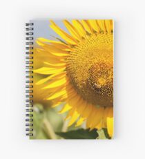 Busy Bee on Sunflower - Nobby, Australia Spiral Notebook