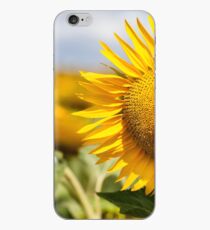 Sunflower - Nobby, Australia iPhone Case