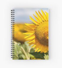 Sunflower - Nobby, Australia Spiral Notebook