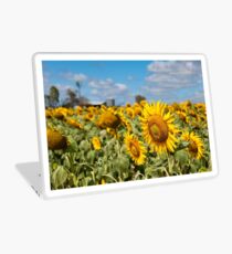 Sunflower Fields - Nobby, Australia Laptop Skin