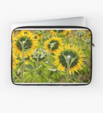 Sunflower Backs - Nobby, Australia Laptop Sleeve