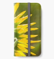 Close up of Sunflower Back - Nobby, Australia iPhone Wallet/Case/Skin