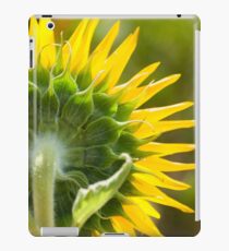 Close up of Sunflower Back - Nobby, Australia iPad Case/Skin